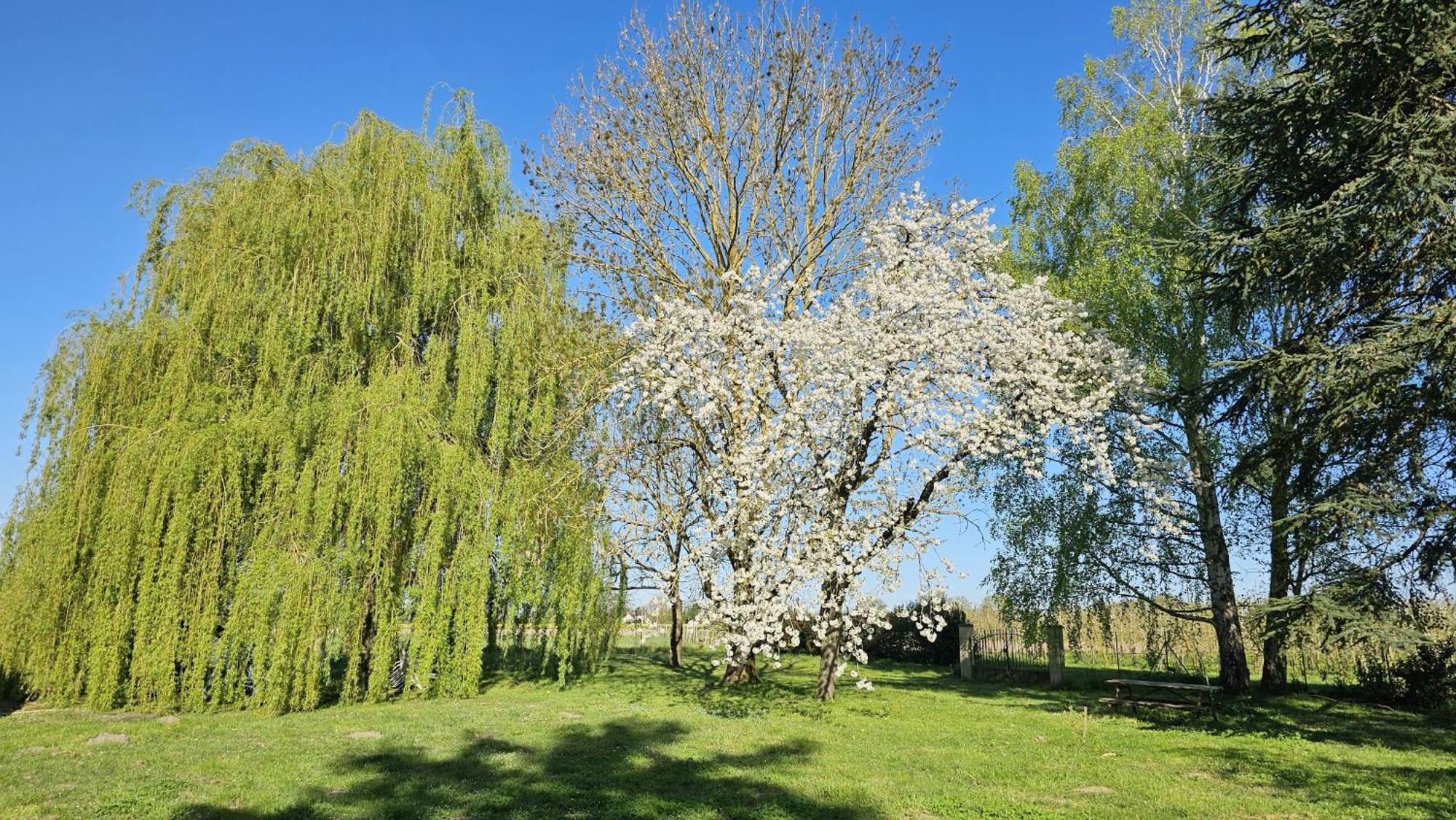 Apartamento Domaine Des Moizons, Le Figuier